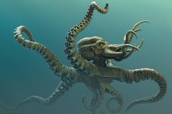 Кракен ссылка kraken zerkalo