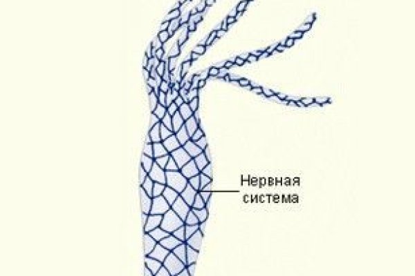 Kraken ссылка зеркало официальный