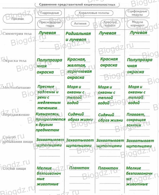 Даркнет площадки